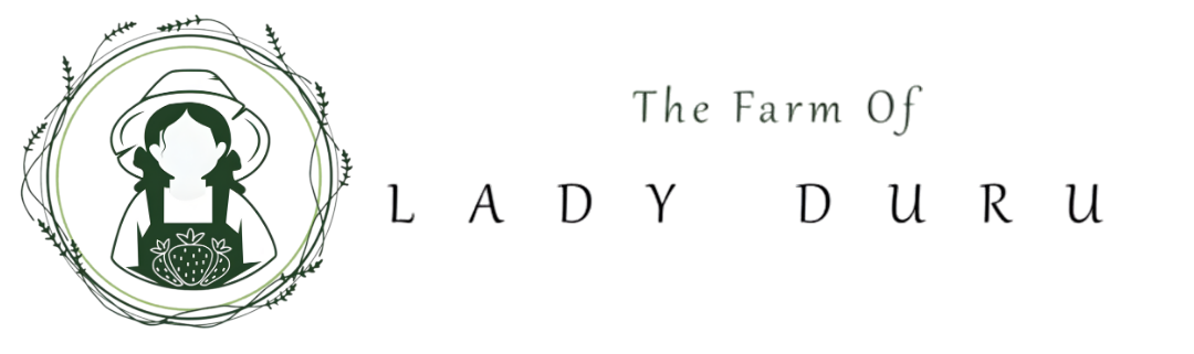 The Farm Of Lady Duru